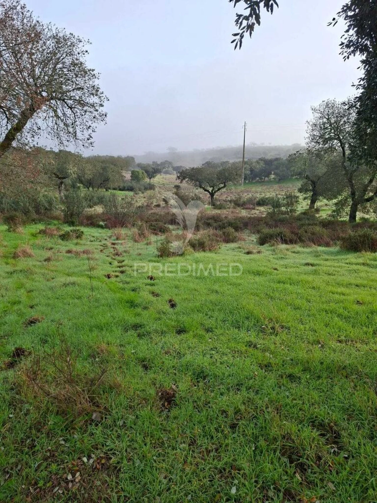 Terreno para Venda em Capelins (Santo Antonio) Foto 1