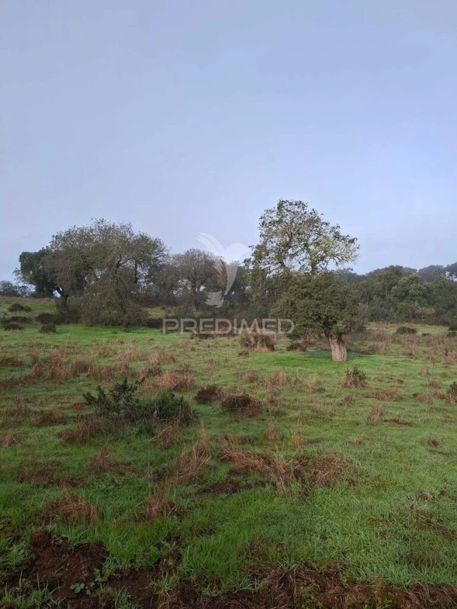 Terreno para Venda em Capelins (Santo Antonio) Foto 3