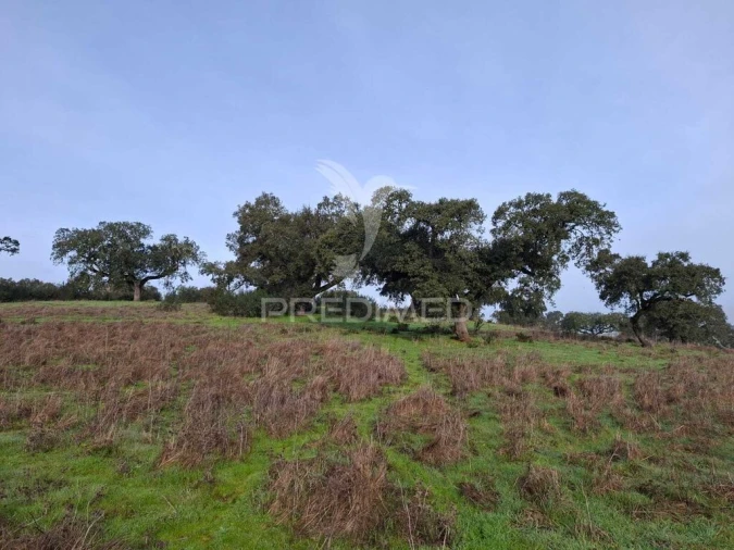 Terreno para Venda em Capelins (Santo Antonio) Foto 7