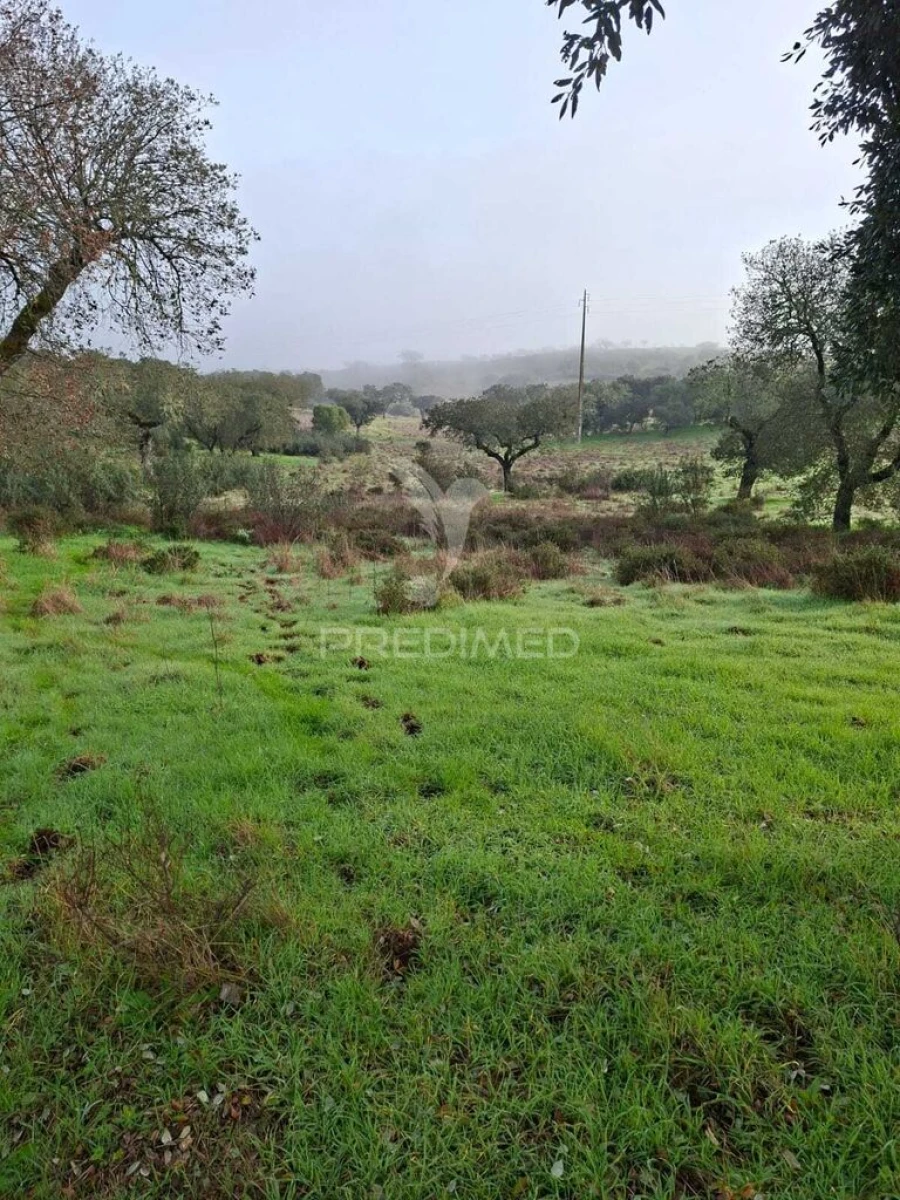 Terreno para Venda em Capelins (Santo Antonio) Foto 1