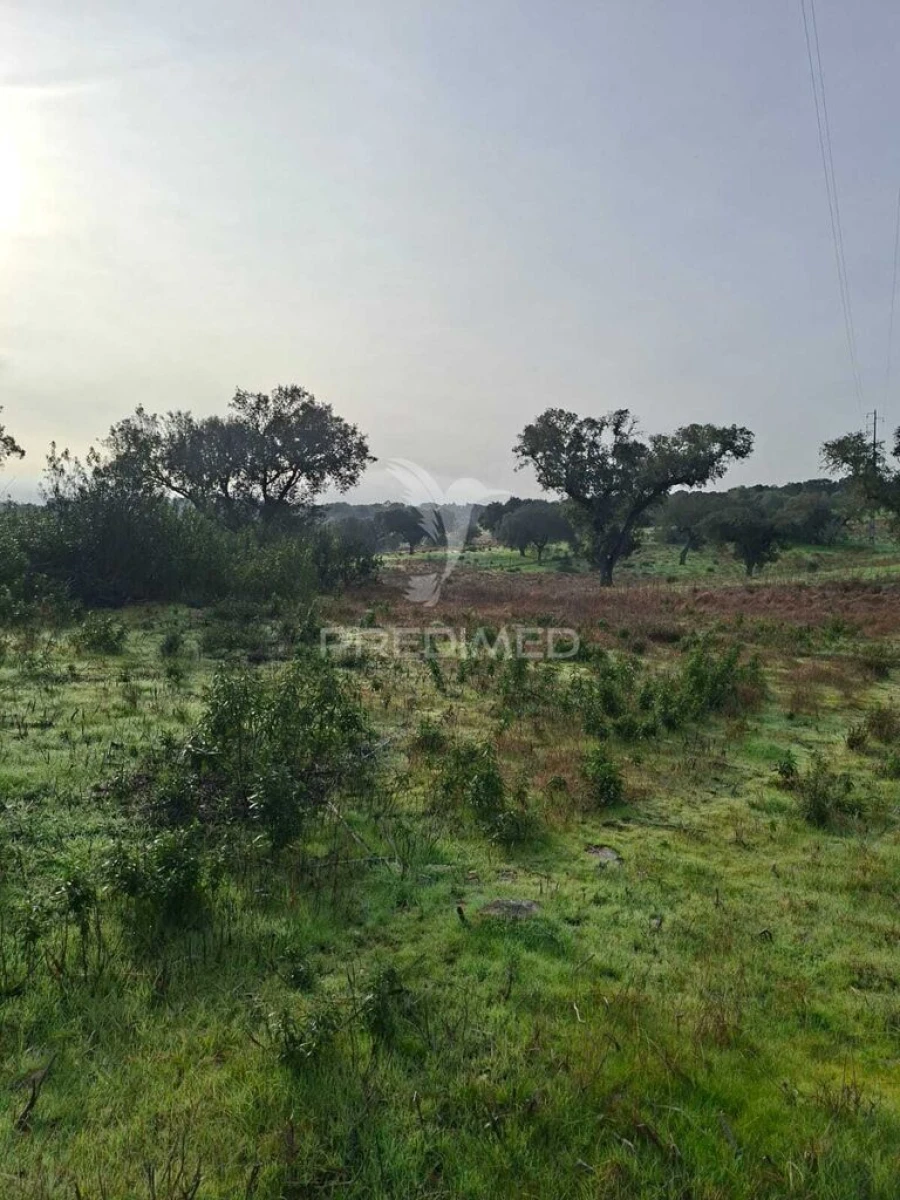 Terreno para Venda em Capelins (Santo Antonio) Foto 9