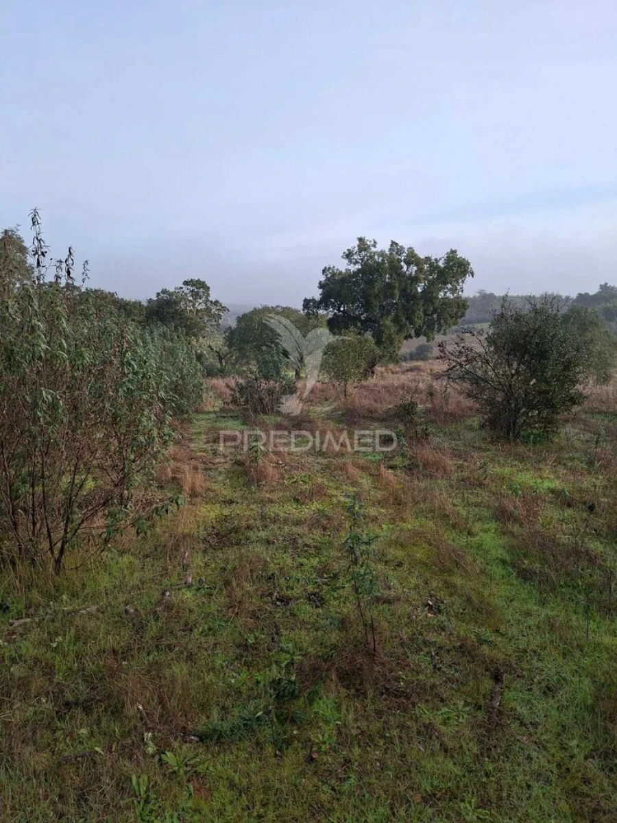 Terreno para Venda em Capelins (Santo Antonio) Foto 6