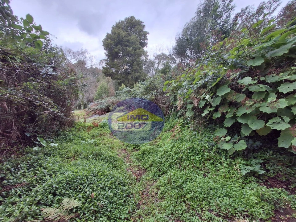 Terreno para Venda em São Paio de Oleiros Foto 18
