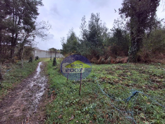 Terreno para Venda em São Paio de Oleiros Foto 9