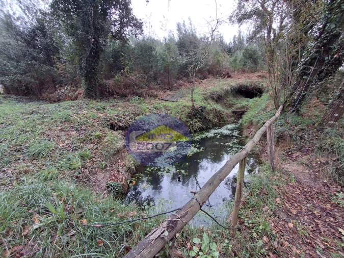 Terreno para Venda em São Paio de Oleiros Foto 12