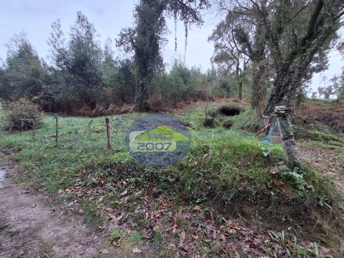 Terreno para Venda em São Paio de Oleiros Foto 13