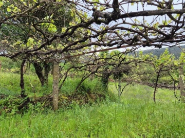Moradia T2 para Venda em Candemil e Gondar