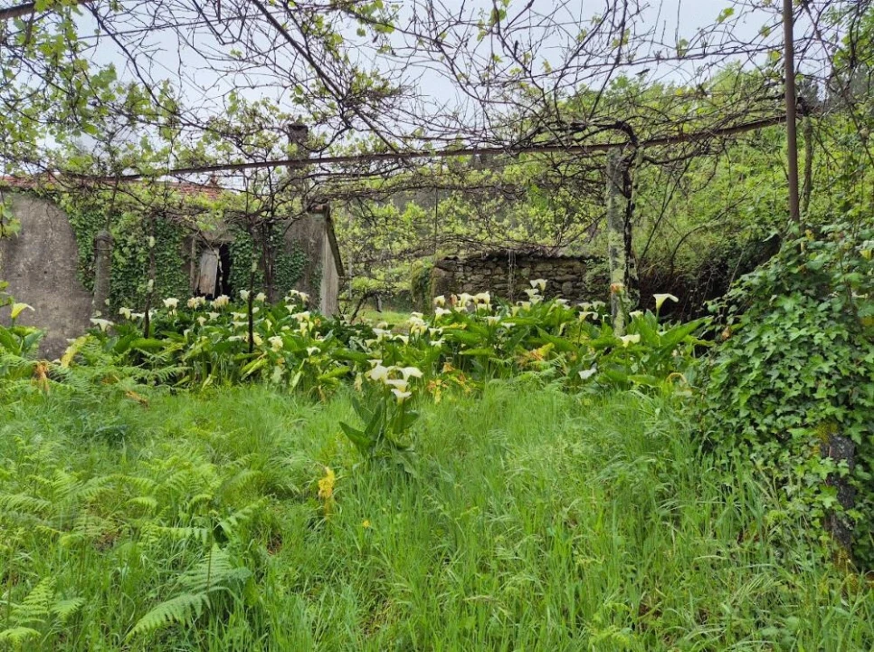 Moradia T2 para Venda em Candemil e Gondar Foto 14