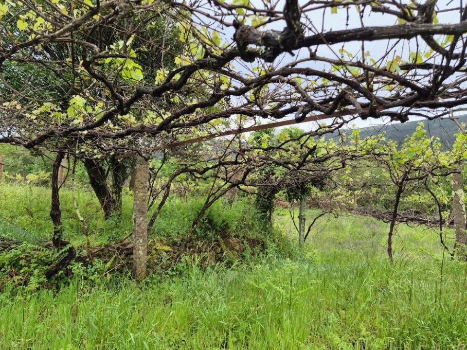 Moradia T2 para Venda em Candemil e Gondar Foto 17
