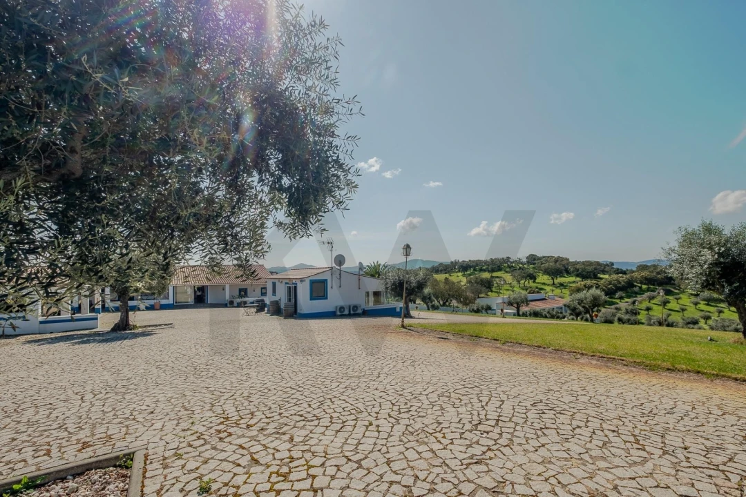 Quinta T6 para Venda em São Bento do Cortiço e Santo Estêvão Foto 39