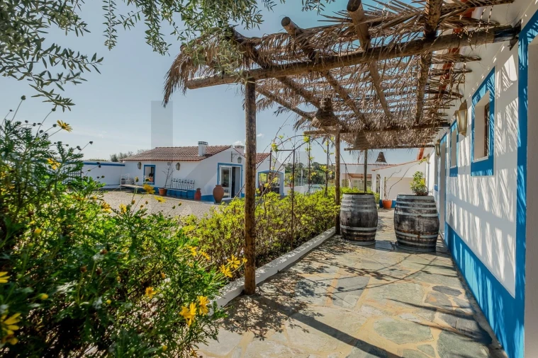 Quinta T6 para Venda em São Bento do Cortiço e Santo Estêvão Foto 8