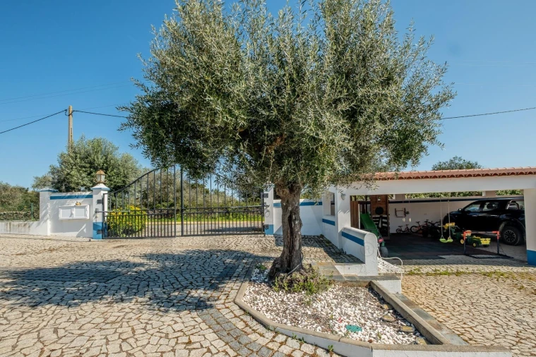 Quinta T6 para Venda em São Bento do Cortiço e Santo Estêvão Foto 37