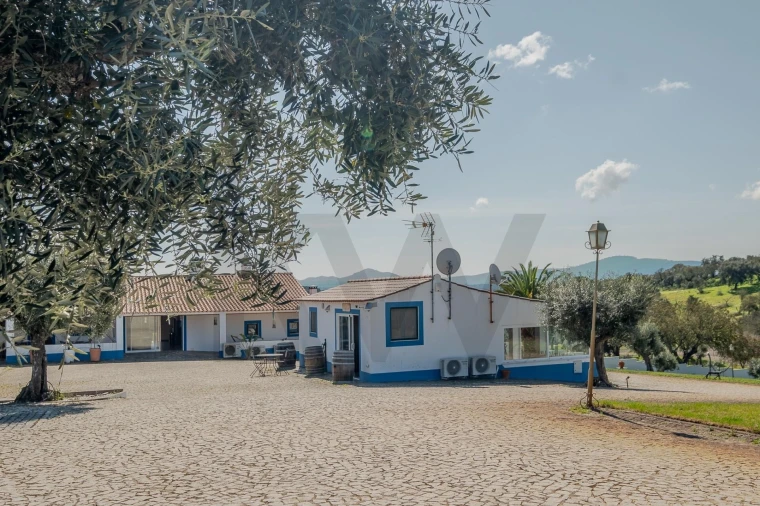 Quinta T6 para Venda em São Bento do Cortiço e Santo Estêvão Foto 40