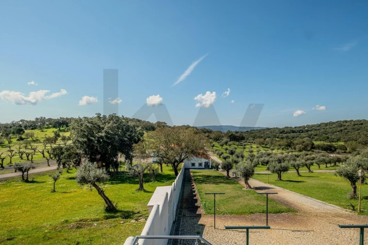 Quinta T6 para Venda em São Bento do Cortiço e Santo Estêvão Foto 55