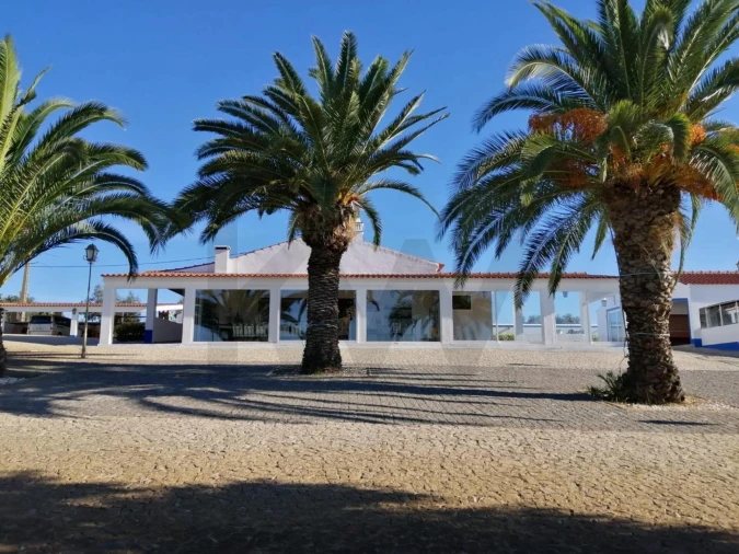 Quinta T6 para Venda em São Bento do Cortiço e Santo Estêvão Foto 5