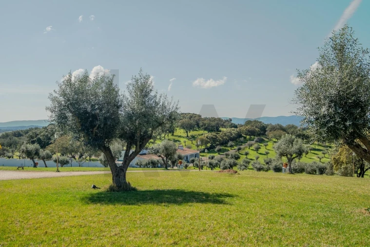 Quinta T6 para Venda em São Bento do Cortiço e Santo Estêvão Foto 45