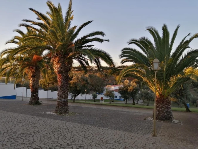 Quinta T6 para Venda em São Bento do Cortiço e Santo Estêvão Foto 15