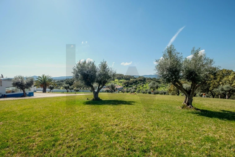 Quinta T6 para Venda em São Bento do Cortiço e Santo Estêvão Foto 44