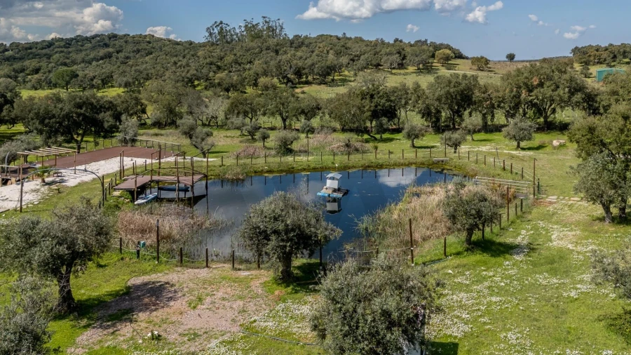 Quinta T6 para Venda em São Bento do Cortiço e Santo Estêvão Foto 86