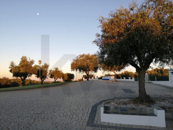 Quinta T6 para Venda em São Bento do Cortiço e Santo Estêvão Foto 17