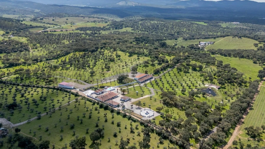 Quinta T6 para Venda em São Bento do Cortiço e Santo Estêvão Foto 89