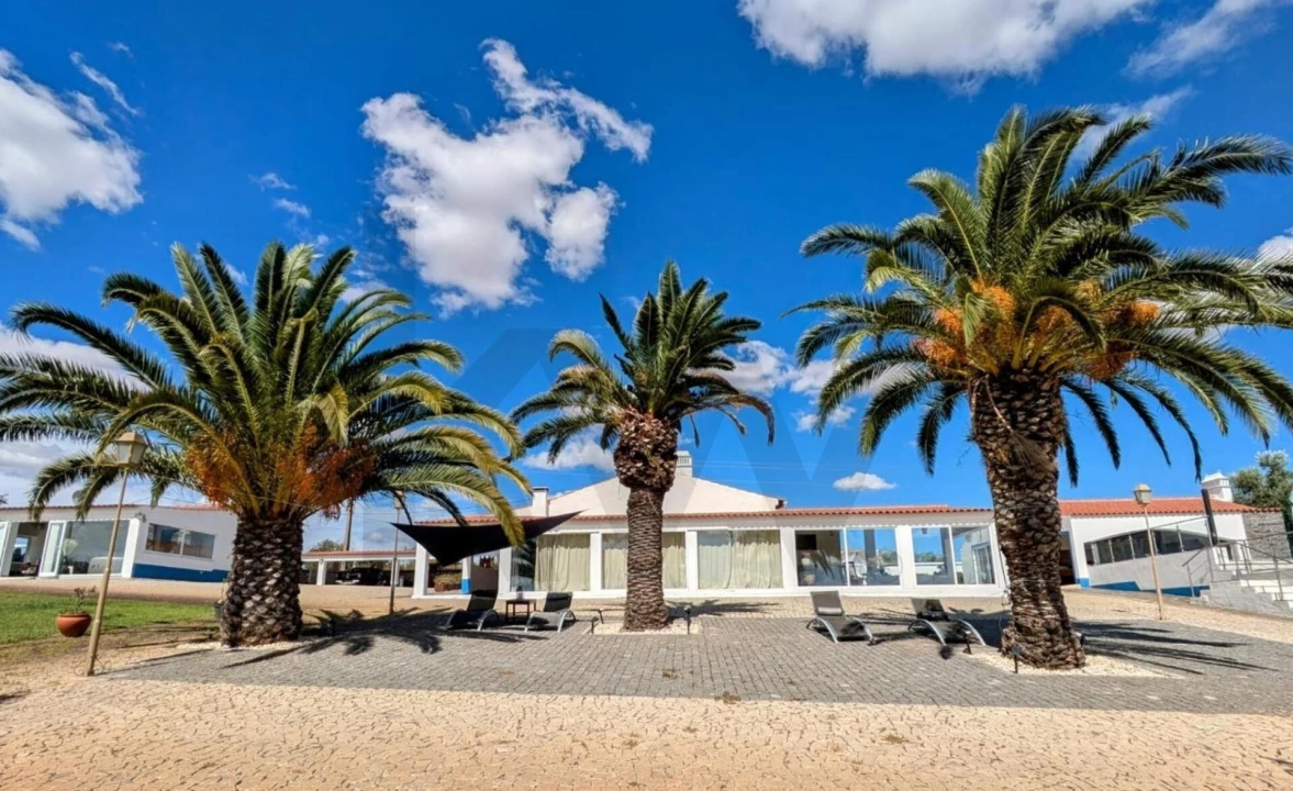 Quinta T6 para Venda em São Bento do Cortiço e Santo Estêvão Foto 1