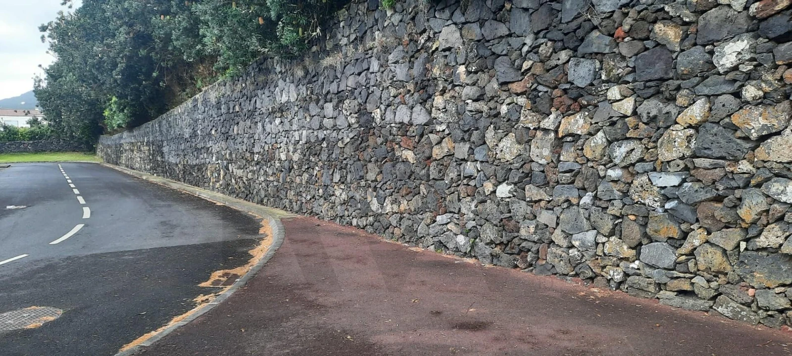 Terreno para Venda em Lagoa (Santa Cruz) Foto 3