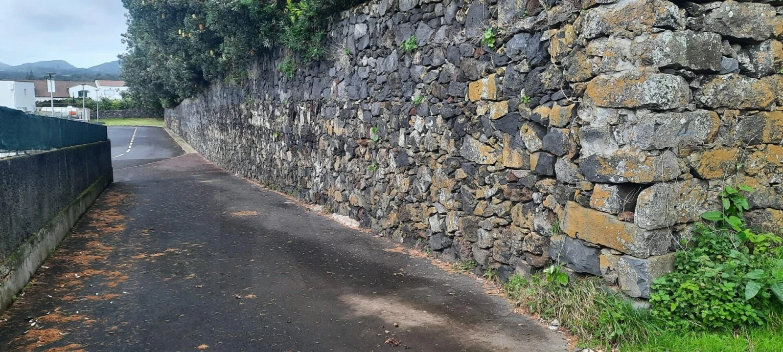 Terreno para Venda em Lagoa (Santa Cruz) Foto 12