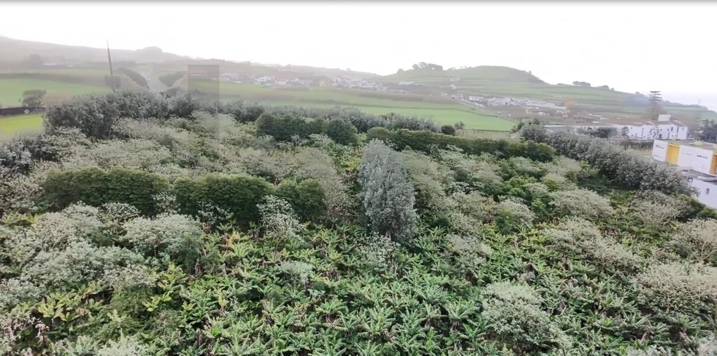 Terreno para Venda em Lagoa (Santa Cruz)