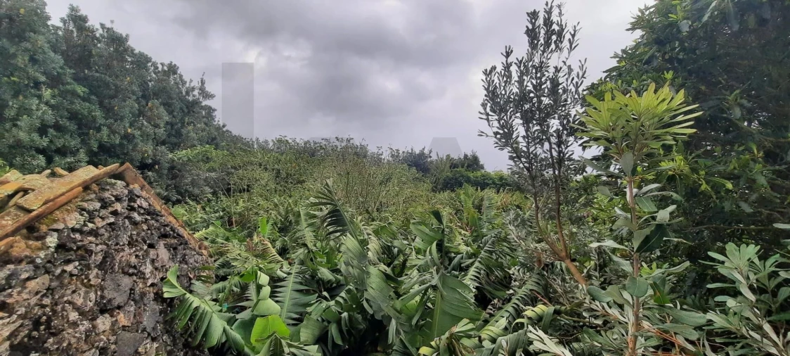 Terreno para Venda em Lagoa (Santa Cruz) Foto 8
