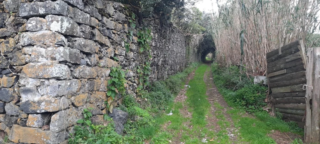 Terreno para Venda em Lagoa (Santa Cruz) Foto 11