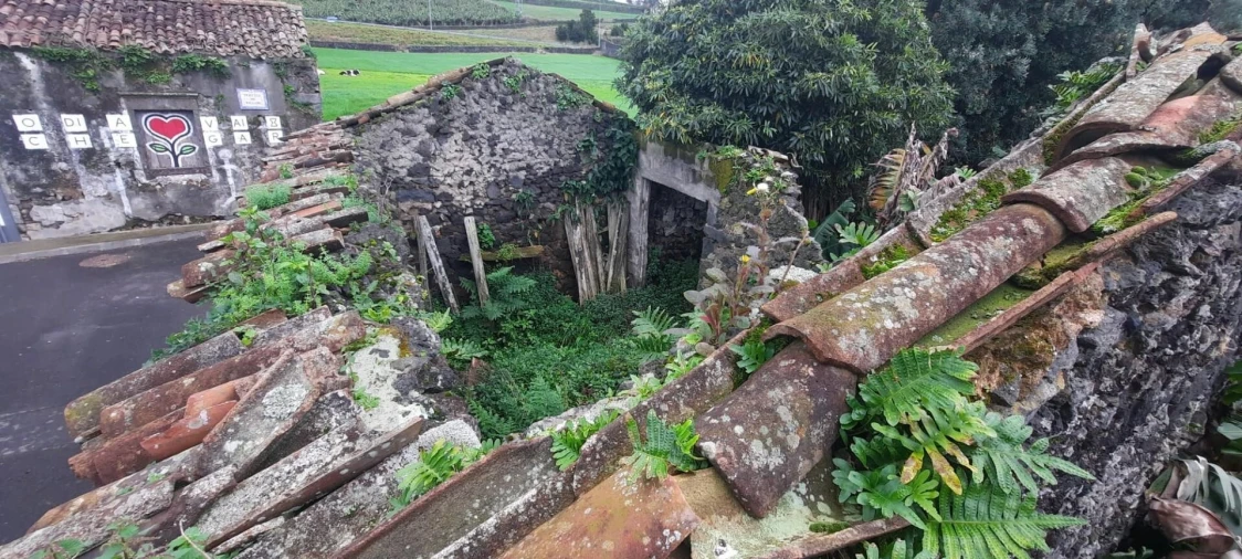 Terreno para Venda em Lagoa (Santa Cruz) Foto 9
