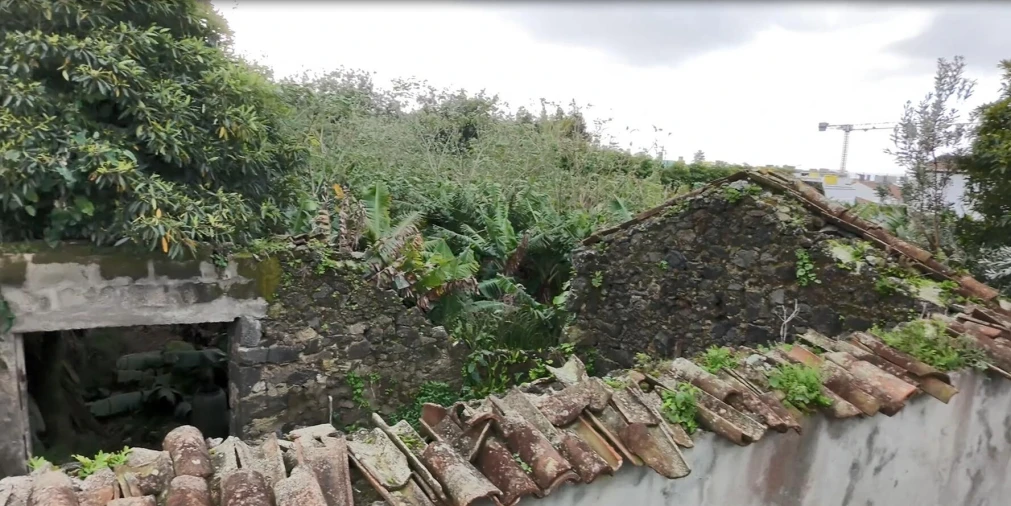 Terreno para Venda em Lagoa (Santa Cruz) Foto 13