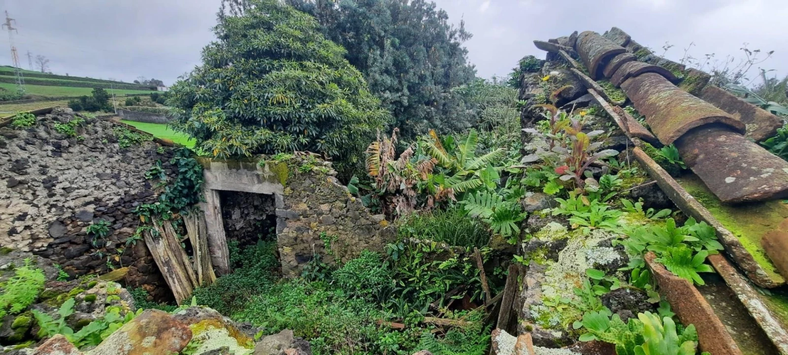 Terreno para Venda em Lagoa (Santa Cruz) Foto 6