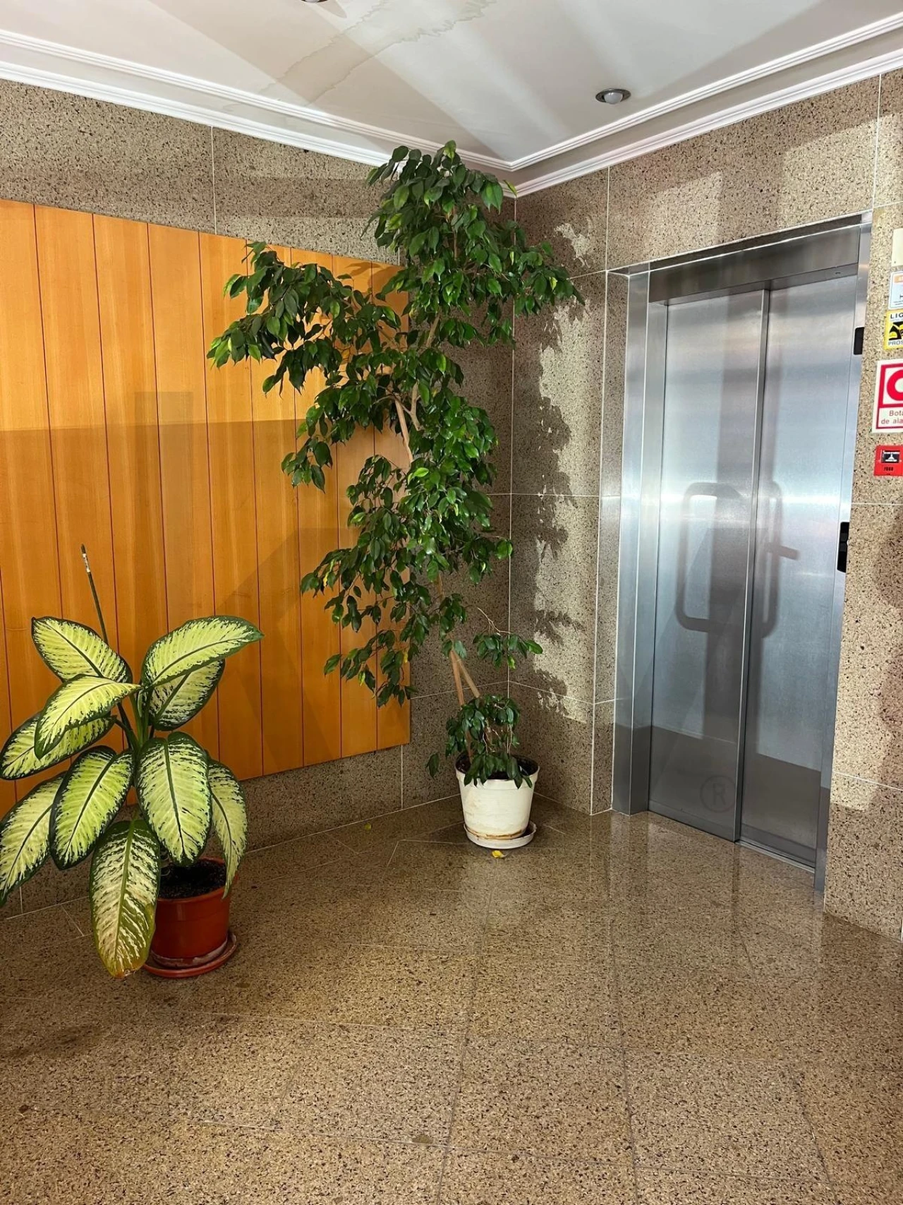 Apartamento T1 para Arrendamento em Campo de Ourique Foto 15