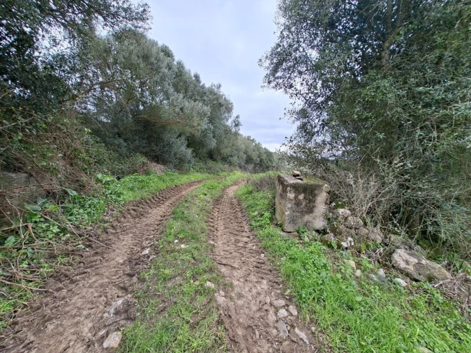 Terreno para Venda em Algueirão-Mem Martins Foto 5