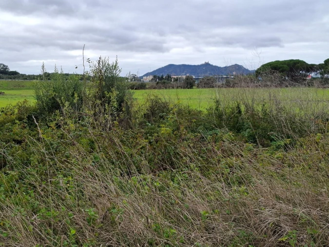 Terreno para Venda em Algueirão-Mem Martins Foto 13