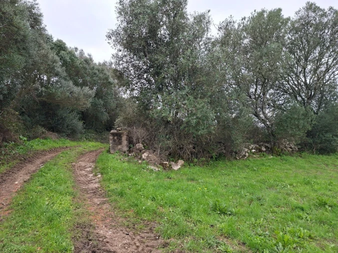Terreno para Venda em Algueirão-Mem Martins Foto 4