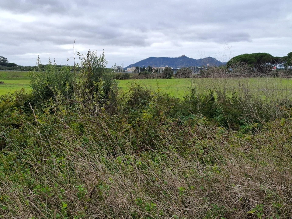 Terreno para Venda em Algueirão-Mem Martins Foto 13