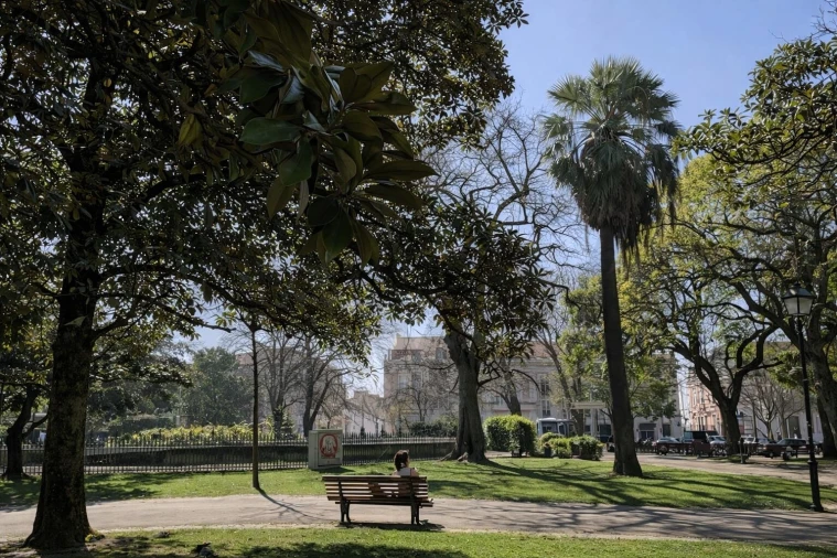 Moradia T6 para Venda em Santo António Foto 15