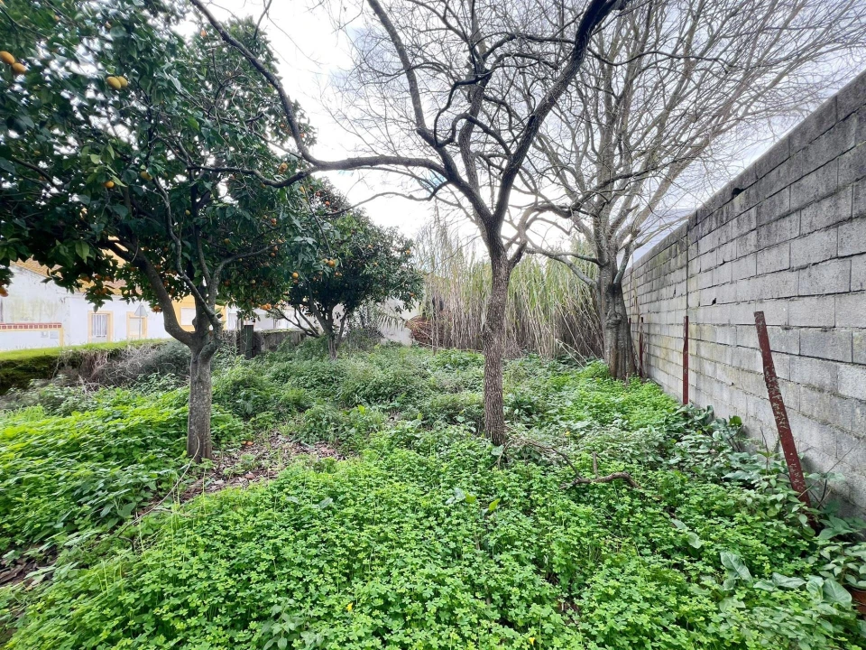 Moradia T3 para Venda em Azinhaga Foto 10