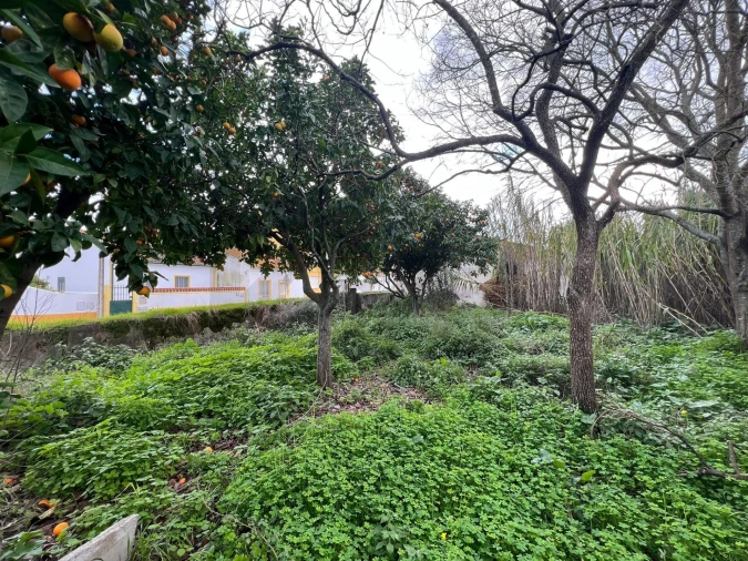 Moradia T3 para Venda em Azinhaga Foto 9