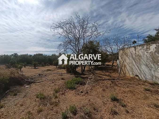 Terreno para Venda em Loule (São Clemente) Foto 2