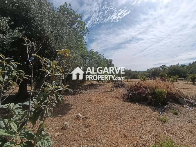 Terreno para Venda em Loule (São Clemente) Foto 6