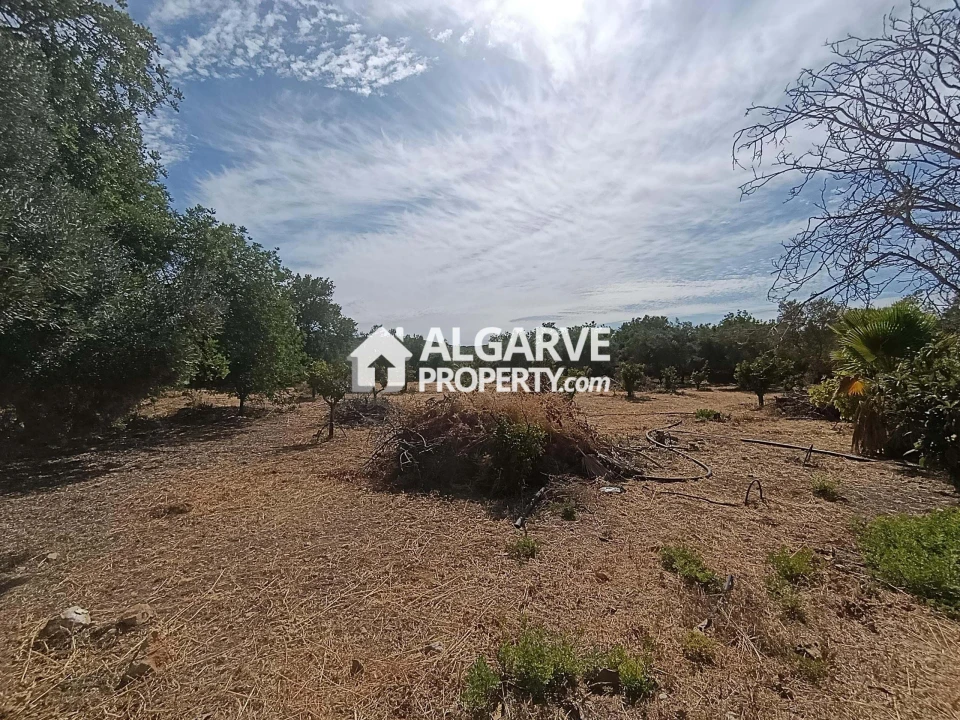 Terreno para Venda em Loule (São Clemente) Foto 4