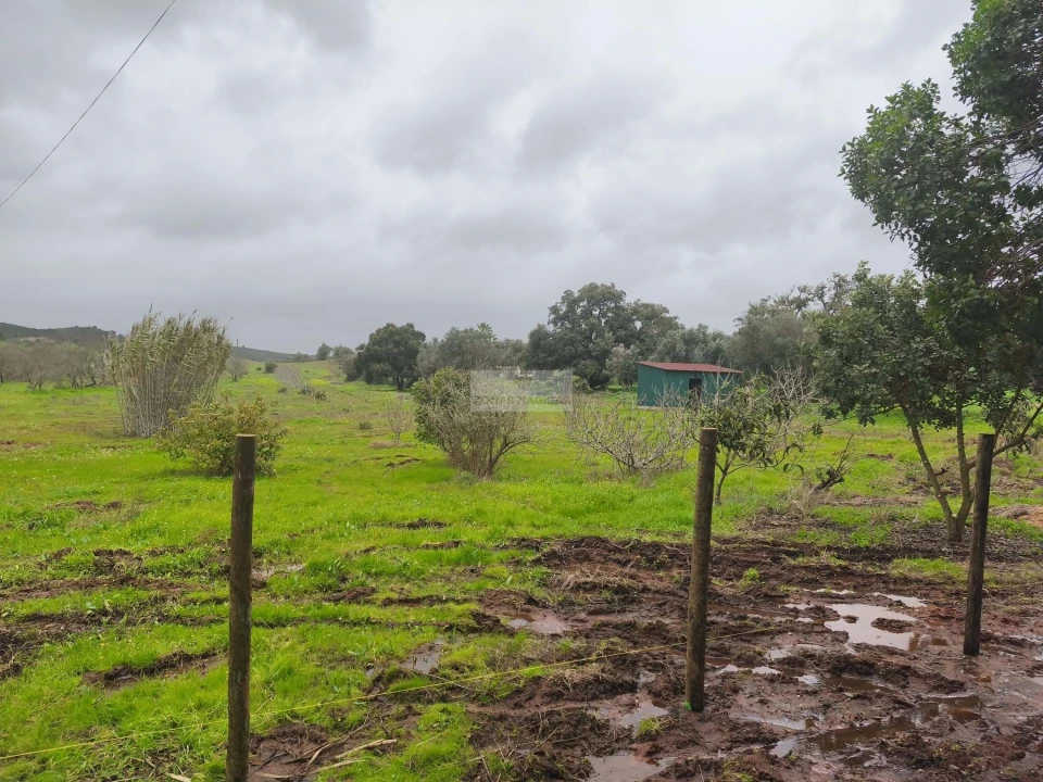 Quinta T1 para Venda em Lagos (São Sebastião e Santa Maria) Foto 18