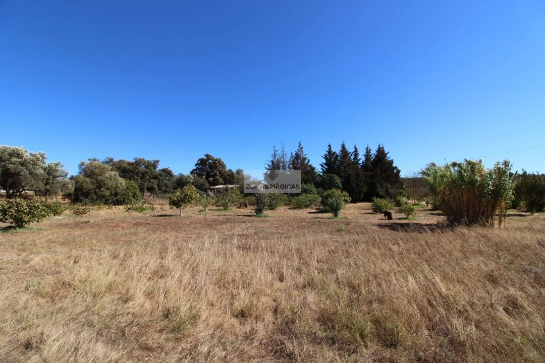 Quinta T1 para Venda em Lagos (São Sebastião e Santa Maria) Foto 4