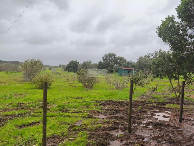 Quinta T1 para Venda em Lagos (São Sebastião e Santa Maria) Foto 18