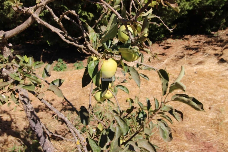 Quinta T1 para Venda em Lagos (São Sebastião e Santa Maria) Foto 6
