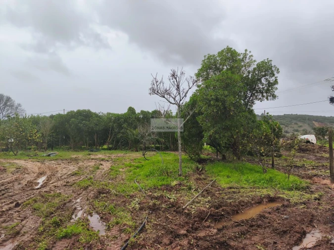 Quinta T1 para Venda em Lagos (São Sebastião e Santa Maria) Foto 16